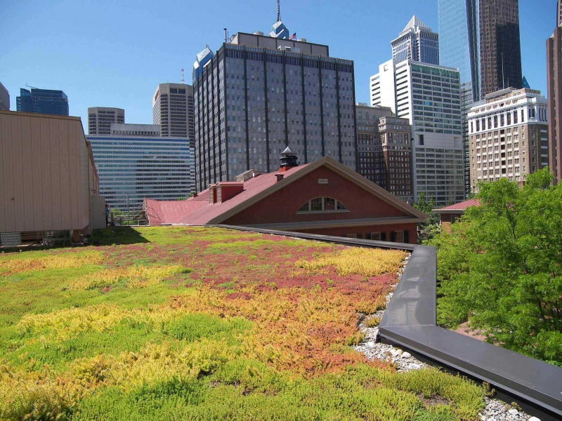 paysagiste-PIERREFEU DU VAR-min_green-roof-portfolio-4